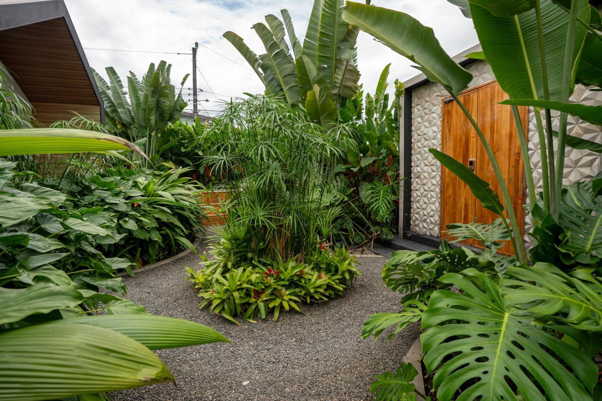 Suwa Villa Arenal La Fortuna Εξωτερικό φωτογραφία