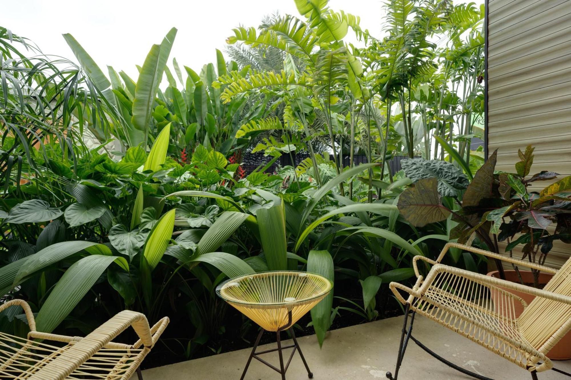 Suwa Villa Arenal La Fortuna Εξωτερικό φωτογραφία
